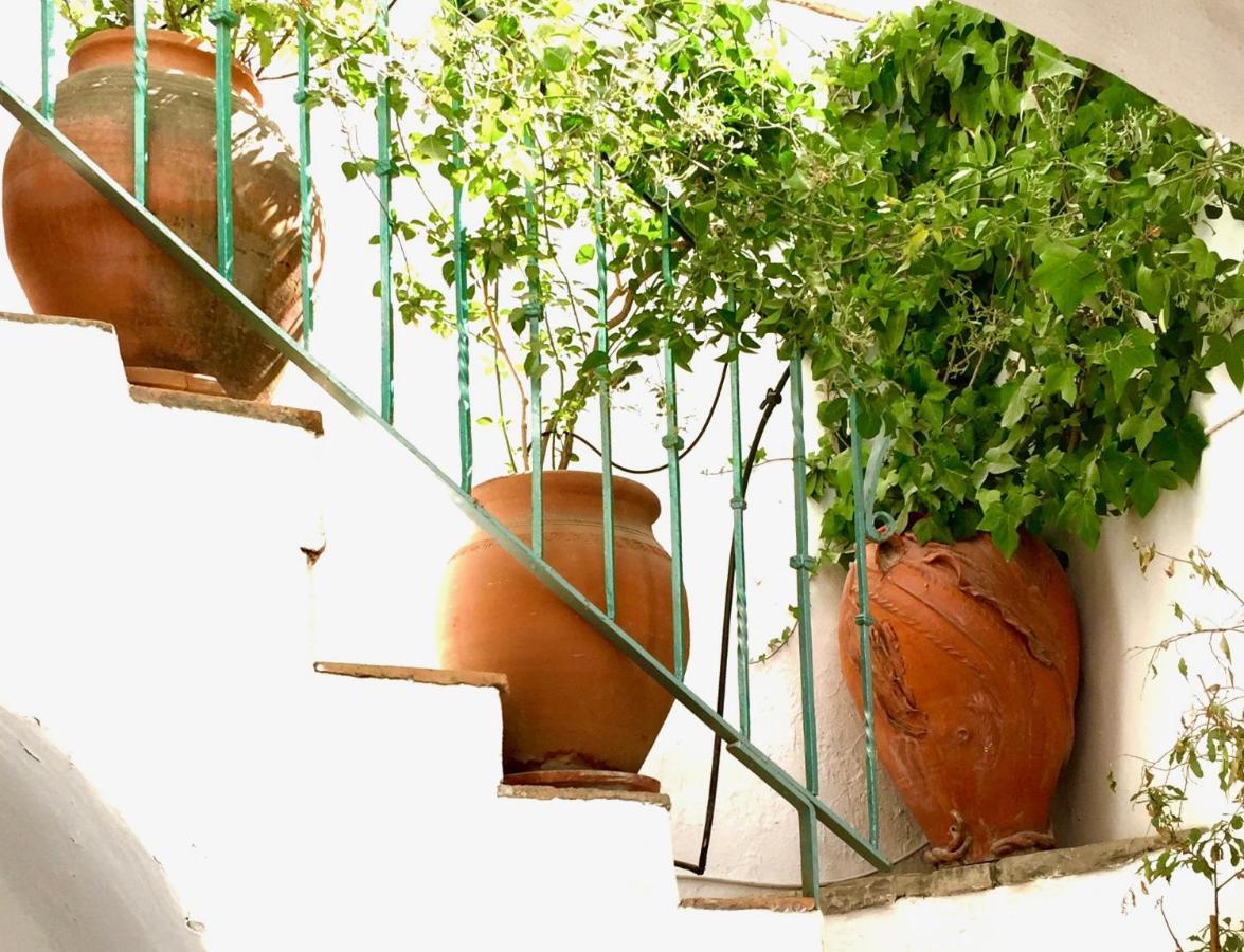 Casa Del Patio Arabe Casas Vejer Debra Βίλα Vejer de la Frontera Εξωτερικό φωτογραφία